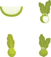 Poster - Collection of fresh vegetables illustration set with cucumber, bok choy, and sliced green vegetables in vector graphic design, isolated and editable for cooking, vegan, and ecofriendly agriculture