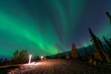 Wall Mural - Green Aurora and fir trees silhouettes. Yellowknife, Northwest Territories, Canada. Real photos.