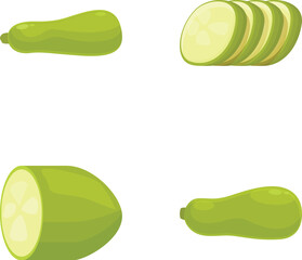 Poster - Vector illustration of whole and sliced zucchini in various views, isolated on white