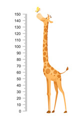 Funny giraffe. Cheerful funny giraffe with long neck. Giraffe meter wall or height chart or wall sticker. Illustration with scale from 0 to 150 centimeter to measure growth