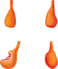 Poster - Four stylized butternut squash graphics in various angles, perfect for autumn designs