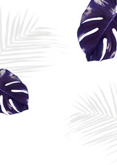 Sticker - Indigo Monstera and palm shadow leaves png