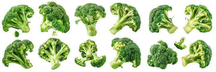 Broccoli isolated. Broccoli on white. Whole, half, slice, cut broccoli set.