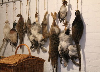 A Collection of Game Animals Hanging Prior to Preparation.