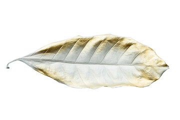 Wall Mural - Leaf painted in gold and white design element