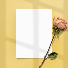 Wall Mural - Blank paper with dried rose on a yellow background design element