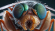© 4K_Heaven - Zoomed-in view of a mutated fly with mutated wings and enlarged compound eyes, a disturbing portrayal of genetic aberration, Generative AI