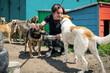 © andyborodaty - Dog at the shelter. Animal shelter volunteer takes care of dogs.