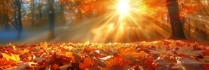 Poster - Sunlit autumn forest with vibrant orange leaves and falling foliage creating a warm and enchanting atmosphere with golden sunlight filtering through the trees
