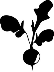 Wall Mural - hand drawn black radish flat creative icon. vegetable pictogram, food graphic object. for web design