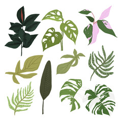 Wall Mural - PNG tropical leaf sticker plant botanical illustration set