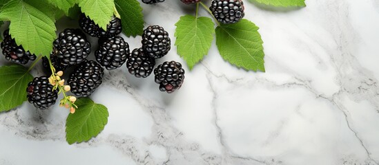 Poster - Delicious fresh ripe fruit of Blackberries and green leaves on a Marble table. Creative banner. Copyspace image