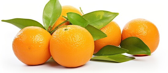 Wall Mural - Ripe tasty tangerines with leaves and segments isolated on white. Creative banner. Copyspace image