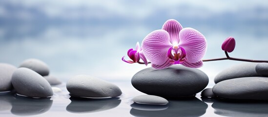 Aufkleber - single beautiful orchid on stones background. Creative banner. Copyspace image