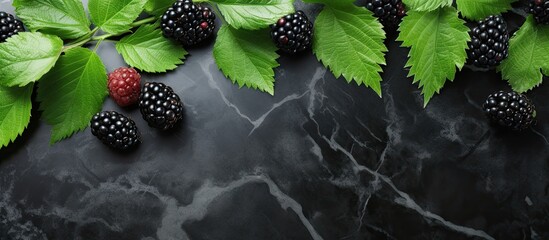 Poster - Delicious fresh ripe fruit of Blackberries and green leaves on a Marble table. Creative banner. Copyspace image