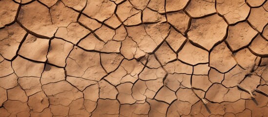 Poster - Cracked dry brown soil background global warming effect. Creative banner. Copyspace image