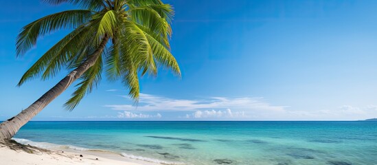 Poster - Aerial view of beautiful beach and sea with coconut palm tree on blue sky in the paradise island. Creative banner. Copyspace image