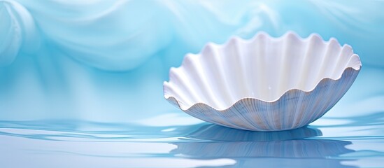 Poster - water shell art background. Creative banner. Copyspace image