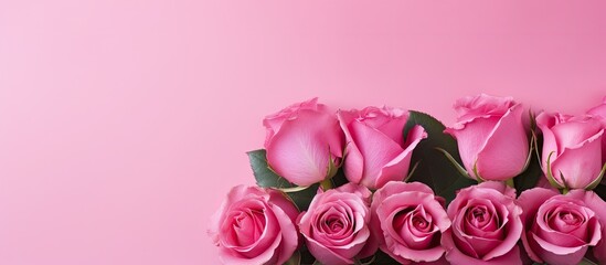 Poster - Background of bright artificial pink roses flowers Close up. Creative banner. Copyspace image