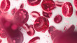 © ภวัต สายวงค์ - Vital Fluids: A Vivid Microscopic Perspective.