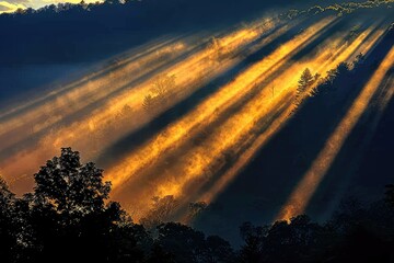 Wall Mural - Exposure sunlight in the morning professional photography