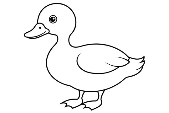 Baby duck line art vector illustration