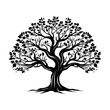 © Iryna - A fabulous oak tree with twisted branches and leaves. Black outline silhouettes illustration.