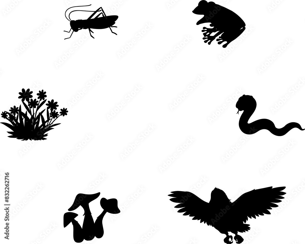 Food Chain Diagram Concept Illustration Stock Illustration Adobe Stock