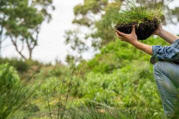 university student conducting research on forest health. farmer collecting soil samples in a test tu