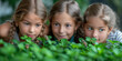 © SongMin - A group of children from a primary school are studying plants and insects in the plant and insect greenhouse.