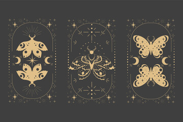 Wall Mural - magic sacred decoration cover, esoteric frame tattoo gold line border celelstial mystery esoteric de