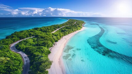 Poster - Aerial shot of a serpentine road winding through a tropical forest leading to a sandy beach, with crystal clear turquoise waters under a bright midday sun.