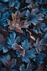 Canvas Print - A close up of a leafy tree with a blue background