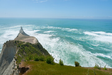 Wall Mural - Gannet colony on headland of Cape Kidnappers.