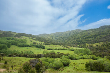 Poster - Green fields and bush of typical New Zealand farm.