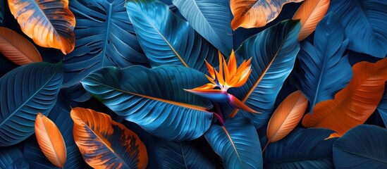 Wall Mural - Blue and Orange Paradise Flower and Leaves