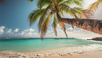 Wall Mural - palm tree over the turquoise water of a tropical beach in guadeloupe