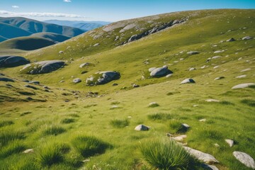 Wall Mural - Noon at Mount Kosciuszko with Vivid Spring Landscape