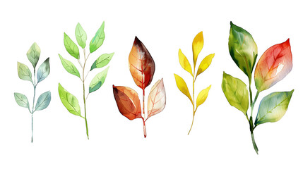 Wall Mural - Set of colourful botanical leaves in watercolor paint style on a transparent background. Isolated flowers and leaves for decoration elements in yellow, orange and green colors.