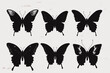 © The Illustraitor - Set of butterflies silhouettes drawing on isolated background. Hand drawn butterfly vector illustration