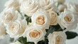 © horizon - White roses background, a white rose bouquet against a white wall, white color background, a large bouquet of white roses in closeup with many blooming white roses, white background.