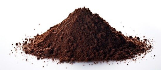 Poster - Black tea powder isolated on white background. copy space available