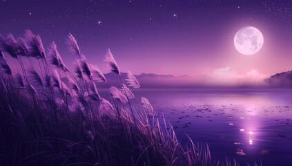 Wall Mural - Beautiful night scene with moonlight shining on the grass