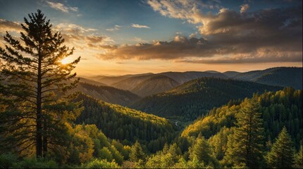 Wall Mural - A beautiful mountain range with a tree in the foreground