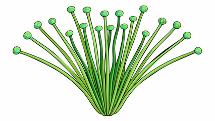 Poster - Clusters of thin wiry stems with delicate heads of green. These blades are easy to overlook but upon closer inspection they reveal intricate ridges. Cartoon Vector.