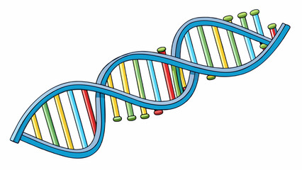 Poster - Double helix DNA This molecule is composed of two intertwined strands creating a twisted ladder shape. Each strand contains genetic information and. Cartoon Vector.