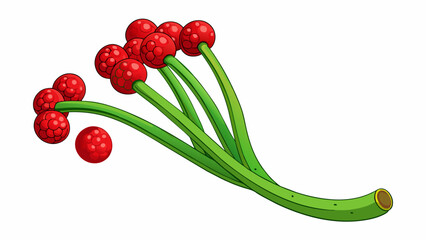 Poster - Long curved green stems held up the vibrant red berries each one the size of a thumb and covered in a velvety coat of tiny seeds giving it a rough yet. Cartoon Vector.