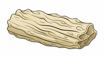 Poster - The bark was light and papery almost delicate to the touch. Its pale beige color was overlaid by dark intricate patterns of fine lines resembling a. Cartoon Vector.