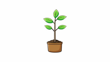 Poster - The newly planted seedling had small delicate leaves and a slender stem hence it required frequent watering and gentle care to thrive.. Cartoon Vector.