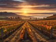 © Anna - Vineyard landscape bathed in warm sunrise hues, a breathtaking sight in fall season.